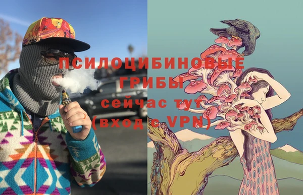 не бодяженный Гусиноозёрск