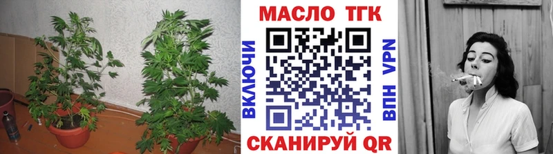 ТГК гашишное масло  Купить  Рудня 