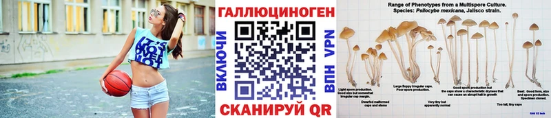 Галлюциногенные грибы Psilocybine cubensis  Купить где  Рудня 