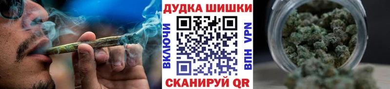 Купить закладки  Рудня  Шишки марихуана SATIVA & INDICA 